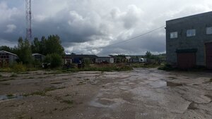 Москва и Московская область, Деревня Малеевка, 95: фото