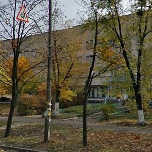 Pavla Tychyny Avenue, 22, : foto