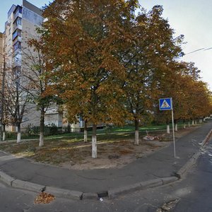 Nizhynska Street, 7, Kyiv: photo