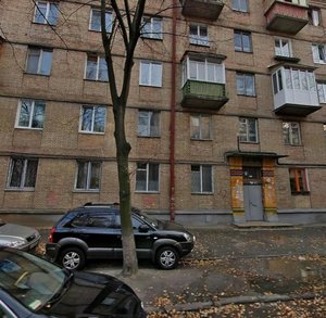 Adama Mitskevycha Street, 6, Kyiv: photo