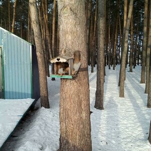 Parkovaya ulitsa, 283А, Prokopevsk: photo