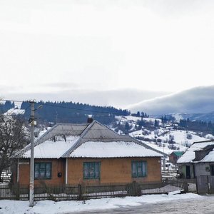 Vulytsia Vyzvolennia, 93, Zakarpattia District: photo