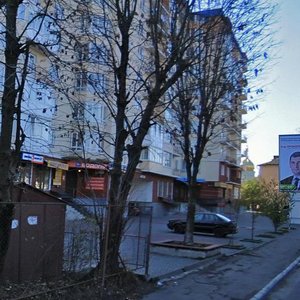 Vovchynetska vulytsia, 68, Ivano‑Frankivsk: photo