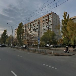 Киев, Улица Героев Днепра, 43: фото