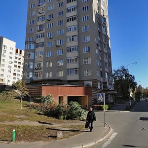 Levanevskoho Street, 6, Kyiv: photo