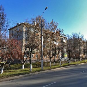 Oktyabrskaya Street, 209, Tula: photo