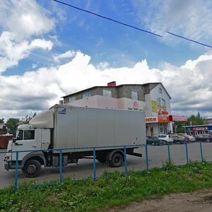 Sharapovo Village, 60, : foto