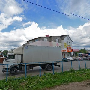 Sharapovo Village, 60, Moscow: photo