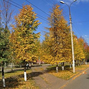 Molodezhnaya Street, 79, Izhevsk: photo