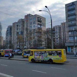 Svobody Avenue, 17, Kyiv: photo