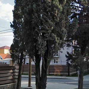 Uritskogo Street, 11Г, : foto