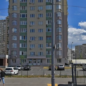 Киев, Радунская улица, 2/18: фото