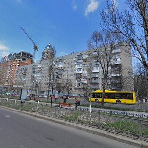 Lesi Ukrainky Boulevard, No:9, Kiev: Fotoğraflar