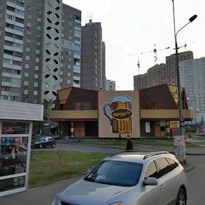 Olexandra Myshugy Street, 3А, Kyiv: photo