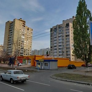 Heroiv Dnipra Street, 40, Kyiv: photo