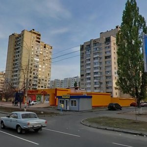 Heroiv Dnipra Street, 40, : foto