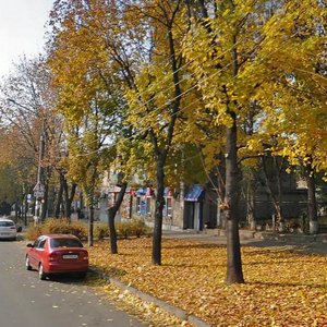 Fortechna vulytsia, 51, Zaporizhia: photo