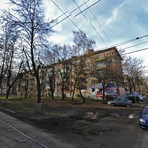 Lva Tolstogo Street, 91, Tula: photo