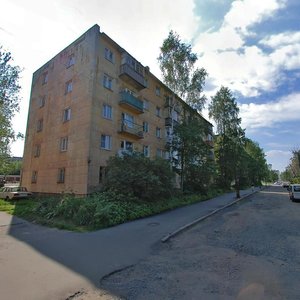 Lososinskaya Embankment, 15 ، : صورة