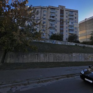 Vadyma Hetmana Street, 44А ، كييف: صورة