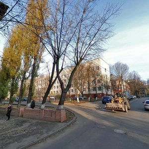 Profesora Pidvysotskoho Street, 13 ، كييف: صورة