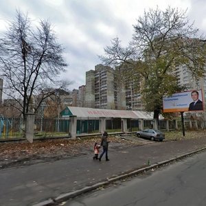 Marshala Rybalka Street, 2, Kyiv: photo