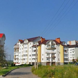 Vulytsia Roksoliany, 59Б, Lviv: photo