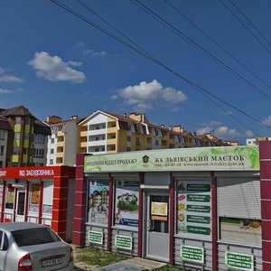 Raiduzhna vulytsia, 145, Kyiv Region: photo