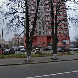 Mykoly Holeho Street, No:6, Kiev: Fotoğraflar