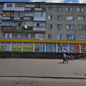 Vitruka Street, 13, Zhytomyr: photo