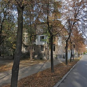 Vulytsia Zelinskoho, 4, Zaporizhia: photo