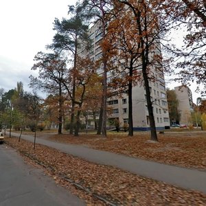 Anatoliia Petrytskoho Street, 5/9, Kyiv: photo