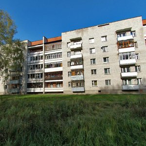 50 Let Oktyabrya Street, 23, Balabanovo: photo