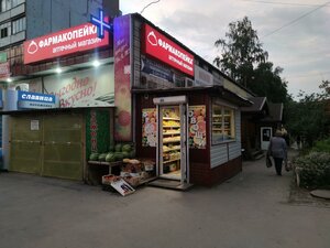 Dovatora Street, 25 ، نوفوسيبيرسك: صورة