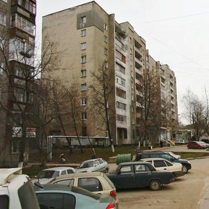 Нижний Новгород, Улица Бориса Панина, 5: фото