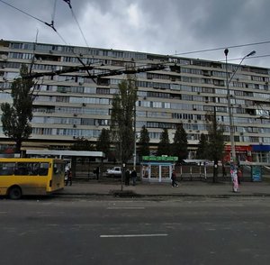 Velyka Vasylkivska Street, 145/1, Kyiv: photo