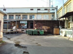 Kosmonavtov Avenue, 28к1 ، سان بطرسبرغ: صورة