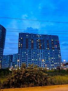 Murinskaya Road, 16к1, Saint Petersburg: photo