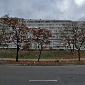 Borschahivska Street, 10 ، كييف: صورة