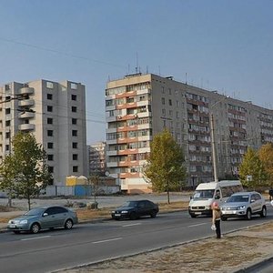 Novokuznetska vulytsia, 5, Zaporizhia: photo