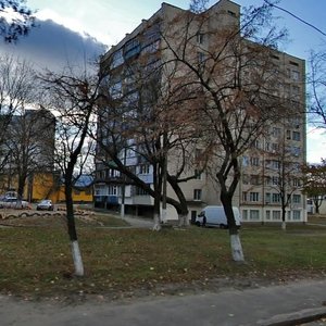 Yuriia Illienka Street, 89, Kyiv: photo