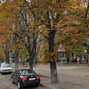 Martyrosiana Street, 2/6, Kyiv: photo