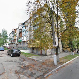 Marychanska Street, 10, Kyiv: photo