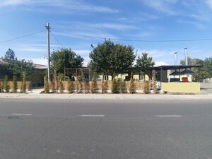 Choshtepa Street, 134 ، طشقند: صورة