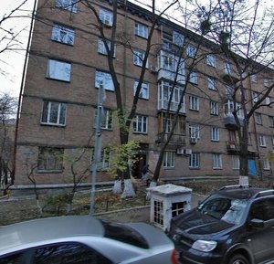 Mykilsko-Botanichna Street, 15/17, Kyiv: photo