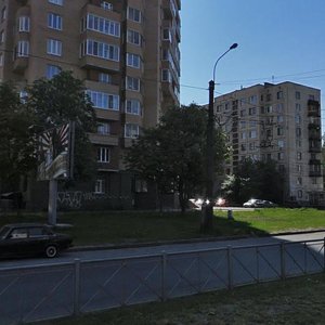 Khudozhnikov Avenue, 33к4, Saint Petersburg: photo