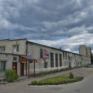 Vulytsia Profesora Buika, 14, Lviv: photo