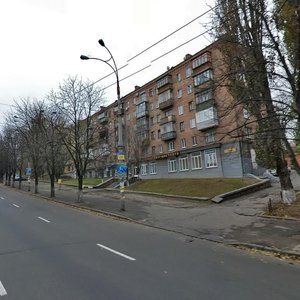 Povitroflotskyi Avenue, 10, Kyiv: photo