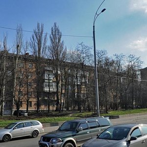 Druzhby Narodiv Boulevard, 22, Kyiv: photo