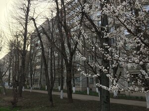 Stasova Street, 119 ، كراسنودار: صورة